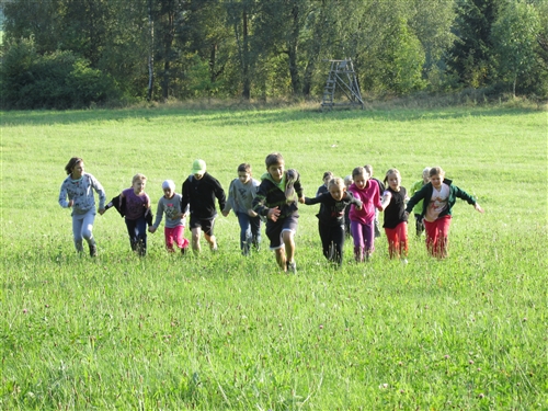 Obrázek v galerii